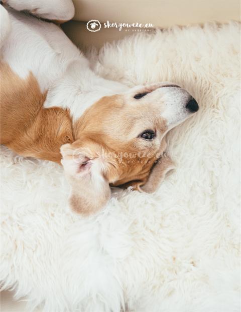 natural white sheepskin natural white sheepskin