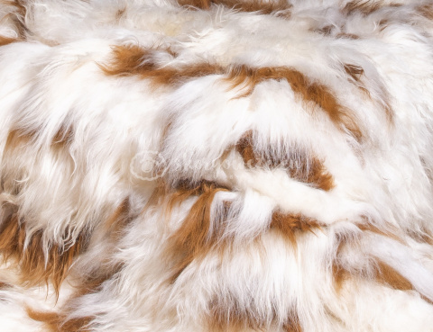 Bedspread made of Icelandic sheepskin white and ginger 180x200 Bedspread made of Icelandic sheepskin white and ginger 180x200