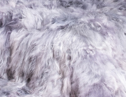 Icelandic sheepskin bedspread gray breeze 180x200