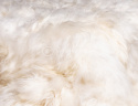 Narzuta ze skóry owczej islandzkiej biała/krem 180x200