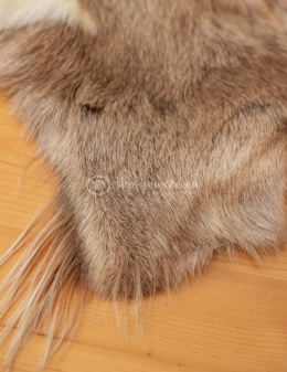 Goat skin/ goat leather/ decorative goat leather 90-110 cm