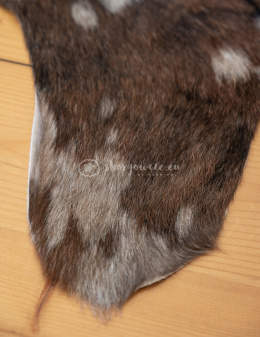 Goat skin/ goat leather/ decorative goat leather 90-110 cm