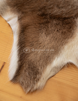 Goat skin/ goat leather/ decorative goat leather 90-110 cm