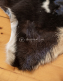 Skóra z kozy/ kozia skóra/ kozia skóra dekoracyjna 90-110 cm