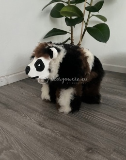 Niedźwiedź dekoracyjny / multicolor