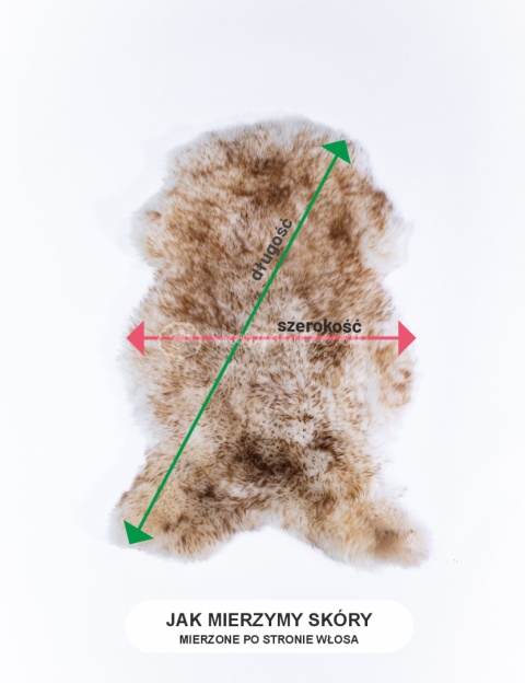Naturalna skóra owcza/ biała mała jagnię/ 100-110 cm