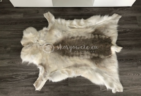 Dekoracyjna skóra z renifera / renifer skandynawski jasny / ciemny